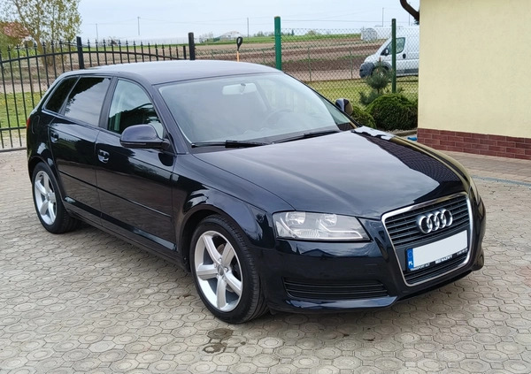 Audi A3 cena 22999 przebieg: 263000, rok produkcji 2008 z Gozdnica małe 529